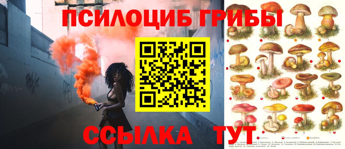 Карачаевск  Псилоцибиновые грибы Cubensis  Вход с VPN  как найти   Псилоцибиновые грибы GOLDEN TEACHER 
